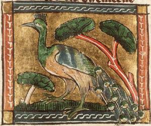 Koninklijke Bibliotheek, KB, KA 16, Folio 97v